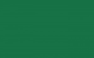 2880x1800 Dark Spring Green Solid Color Background